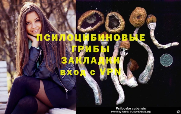 mix Аркадак