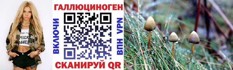 что такое наркотик  Ртищево  Галлюциногенные грибы GOLDEN TEACHER 